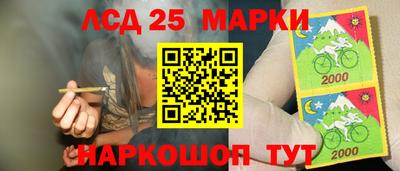 гидра Новозыбков